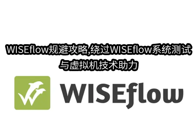 WISEflow规避攻略,绕过WISEflow系统测试与虚拟机技术助力