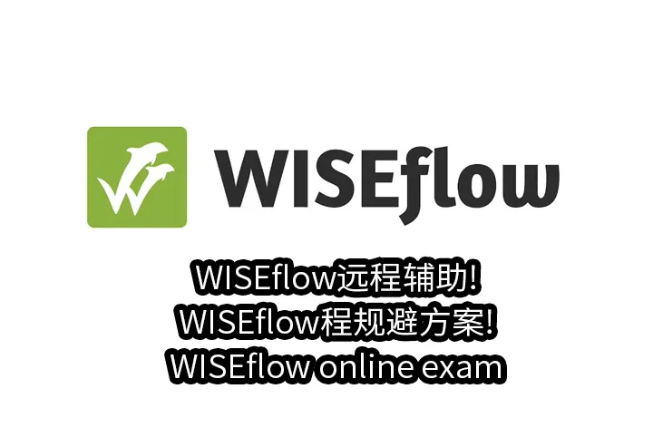 WISEflow远程辅助!WISEflow程规避方案!WISEflow online exam