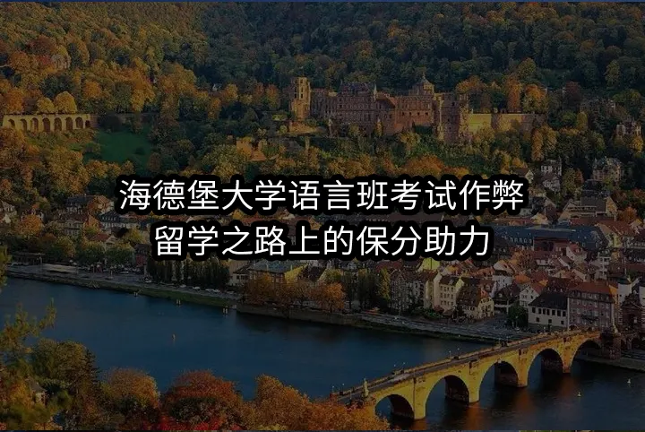 海德堡大学语言班考试作弊:留学之路上的保分助力