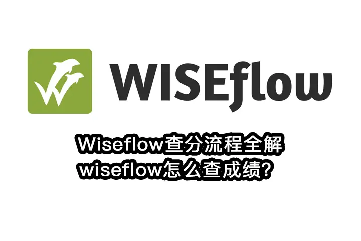 Wiseflow查分流程全解:wiseflow怎么查成绩？