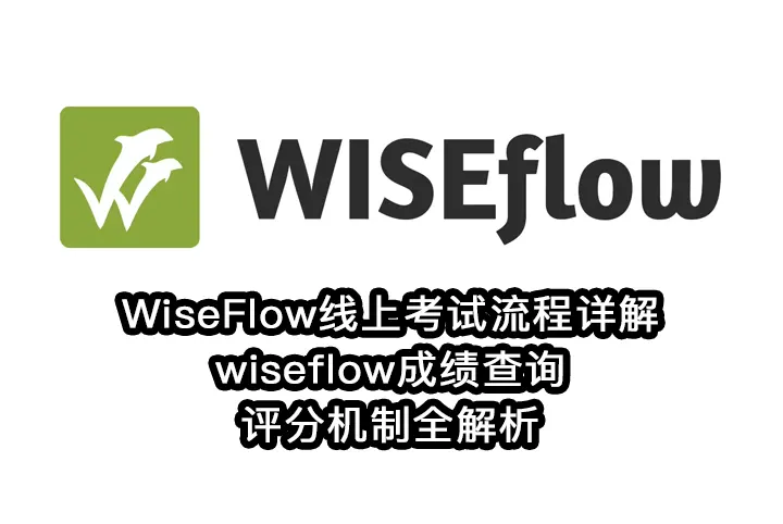 WiseFlow线上考试流程详解:wiseflow成绩查询、评分机制全解析