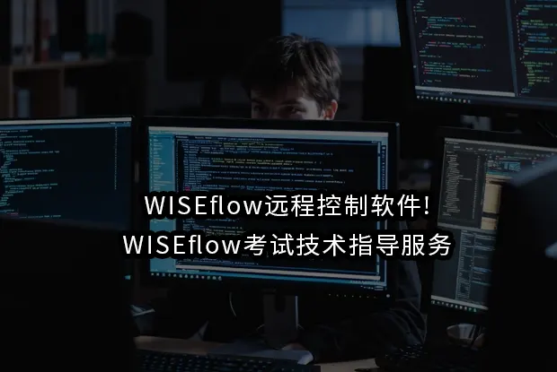 WISEflow远程控制软件解析：技术探讨与实际风险详解