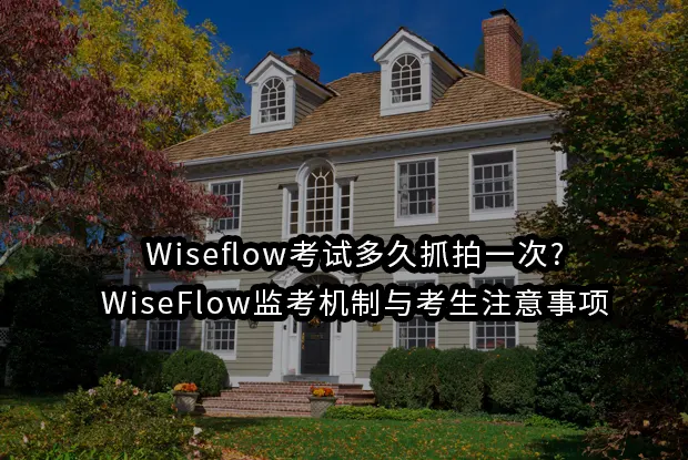 Wiseflow考试多久抓拍一次?WiseFlow监考机制与考生注意事项